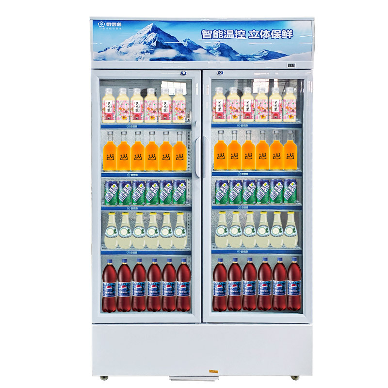 Snowsea/香雪海LC-533A商用展示柜 冷藏水果饮料保鲜柜商超啤酒柜|ru