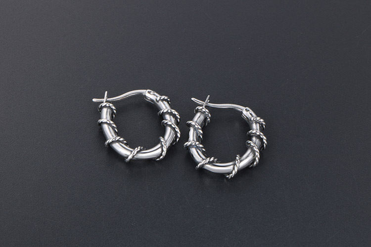 1 Piece 1 Pair Simple Style Geometric Polishing Titanium Steel Hoop Earrings display picture 5