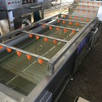 现货毛豆青豆气泡翻浪式清洗机设备 气泡式清洗机价格 商用洗菜机