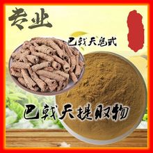 巴戟天提取物 巴戟天皂甙 巴戟天浓缩粉 厂家现货三证齐全1kg包邮