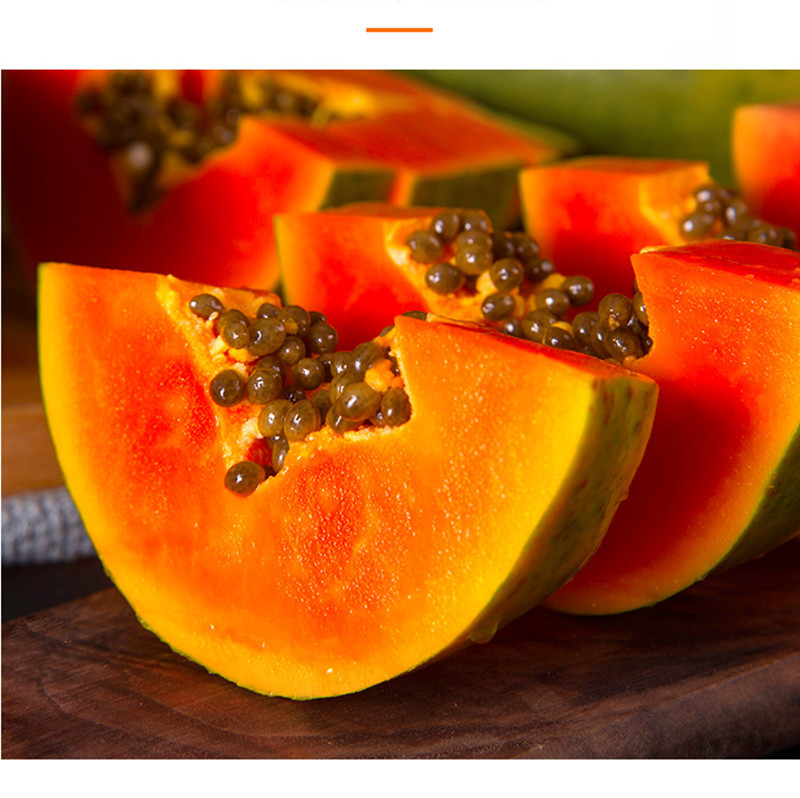 supply Hainan Red Papaya milk Rock sugar Papaya Green Papaya fresh Season fruit 10 Jin