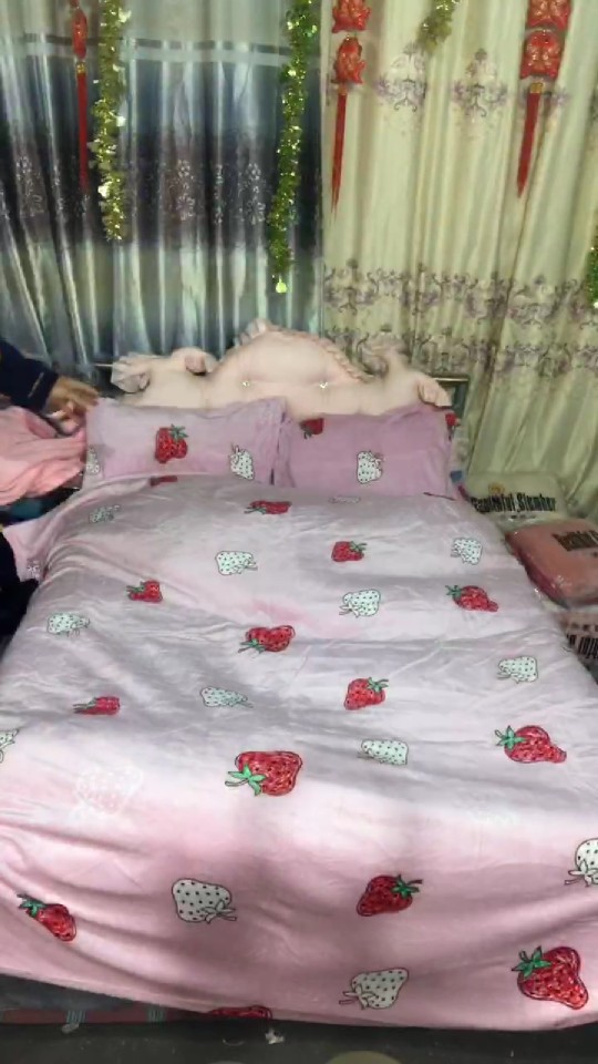 枕头上有一点瑕疵两米二，两米四，草莓的89元一套