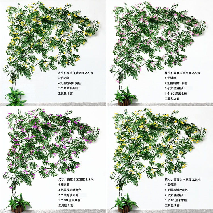 DSC_0646 副本0 副本