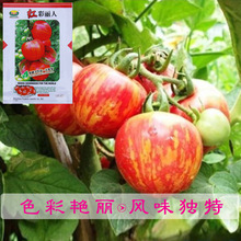 樱桃番茄种子西红柿种子圣女果种子蔬菜种子批发菜种菜籽种子公司