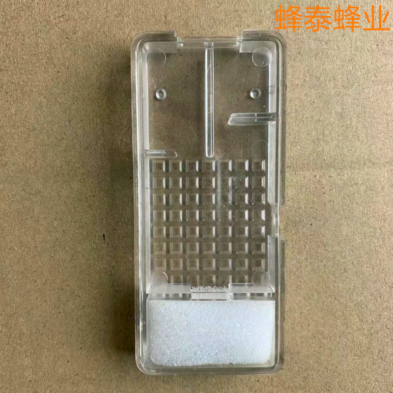 加长囚王笼 出口型王笼 邮寄蜂王专用蜂具 全透明邮寄中意蜂王笼