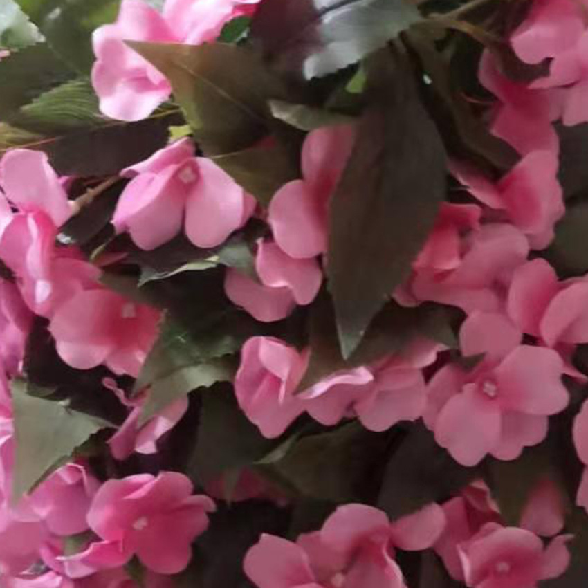 微信图片_20191229105057