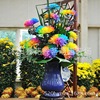 Colorful chrysanthemum seed rainbow chrysanthemum seeds Phalaenopsis lavender seed meteor meteor rain rose seeds