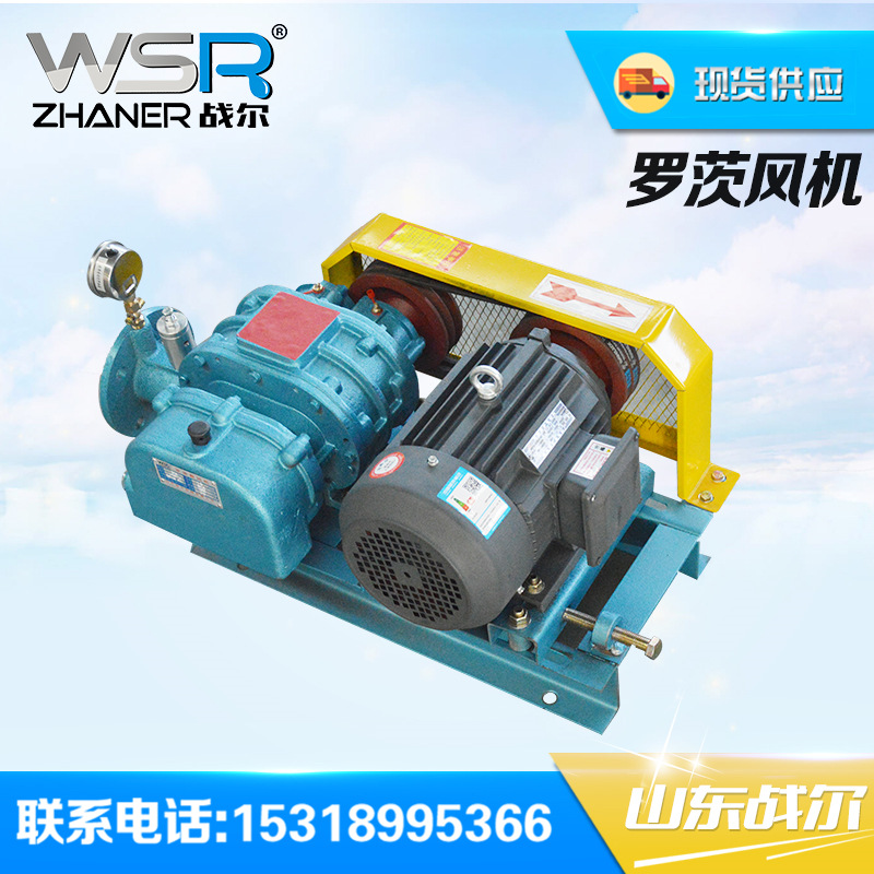 专业生产罗茨鼓风机_山东战尔机械(图)_厂家罗茨鼓风机