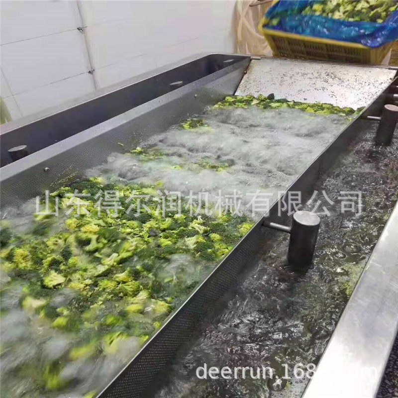 2020农村创业新模式 保鲜蔬菜加工设备 速冻蔬菜清洗漂烫流水线