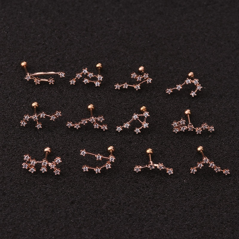 Ear Cartilage Rings & Studs Fashion Constellation 316 Stainless Steel  Copper Inlay Zircon display picture 3