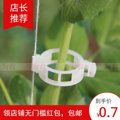 園藝工具番茄吊繩卡扣夾綁蔓夾綁枝夾吊蔓夾扶蔓夾蔬果藤蔓固定夾