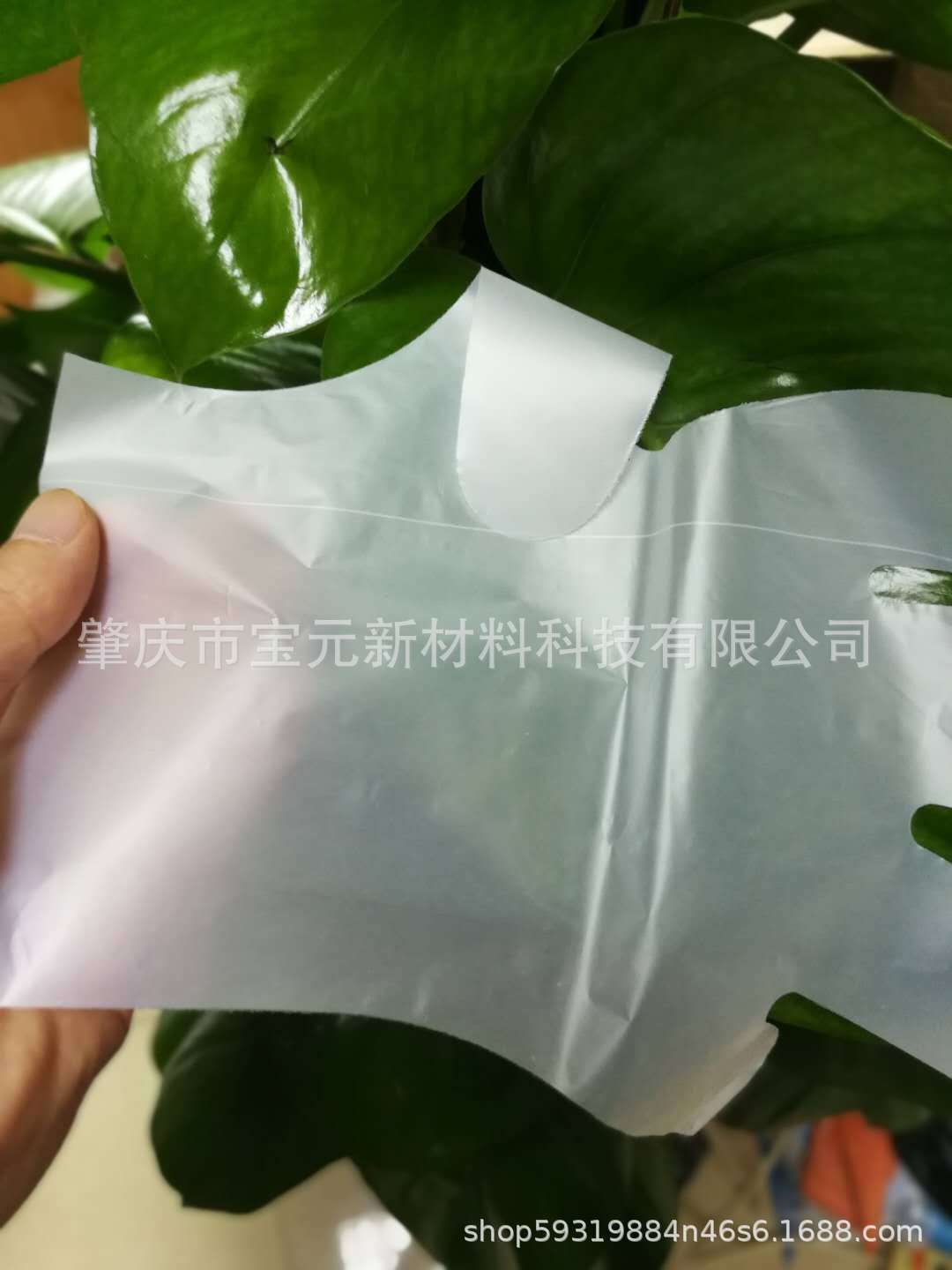 生物降解手套.png