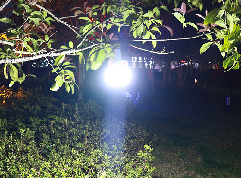 太阳能充电LED球泡灯家用移动夜市灯地摊神器应急停电照明球灯泡详情22