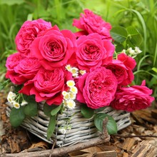 ���l�tɫ������ˮ�¼�������֬�̨ͥԺ��õ�����Ի��翹���ͺ�