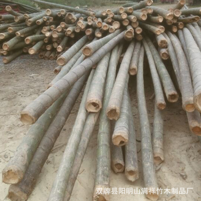 厂家供应各种规格原竹深加工防虫装修装饰竹竿篱笆竹杆