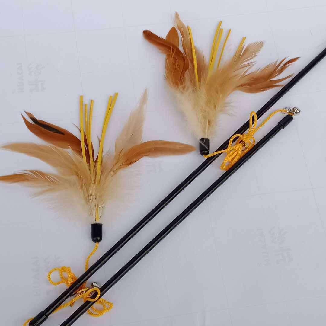 微信图片_20190410205001