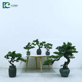 仿真迎客松盆景大小盆栽松柏树美人松绿色假植物罗汉松装饰摆件