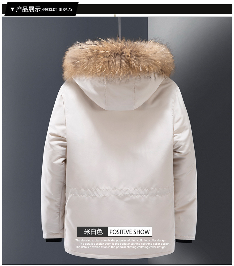 加拿大鹅羽绒服 (8)