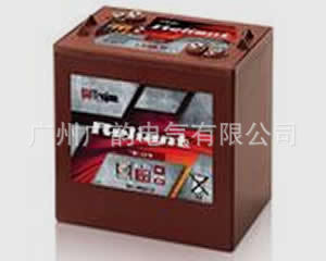 美国邱健蓄电池T-875 8V170AH邱健观光车蓄电池 电动汽车蓄电池
