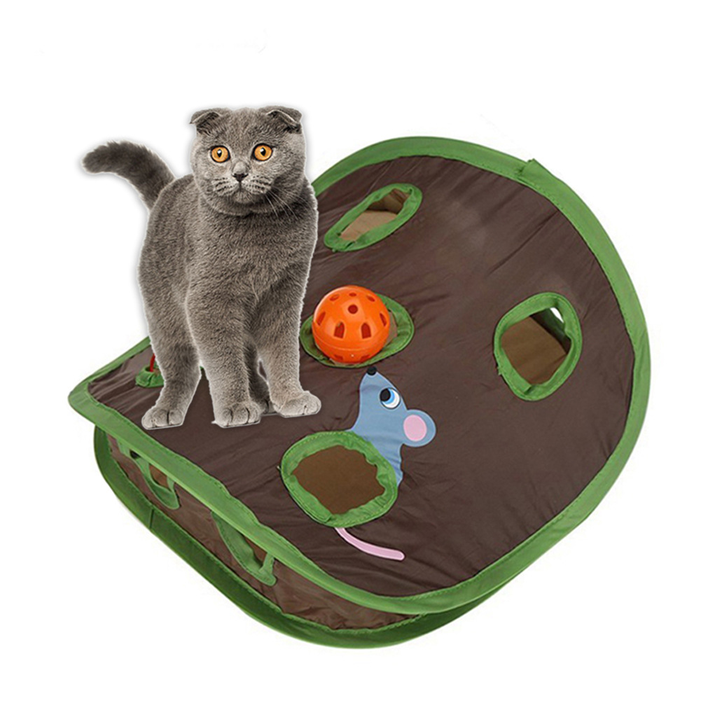 猫洞 (2)