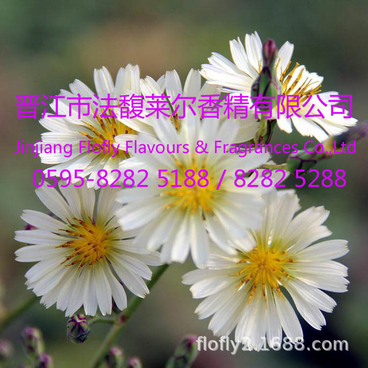 百合香精，桂花香精，野菊花香精，等各种日化用途花香香精