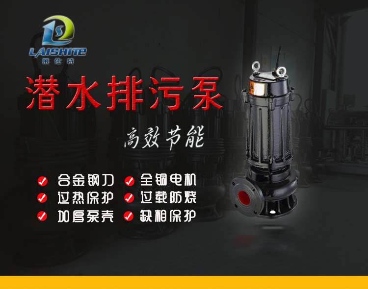 详情页莱斯特_01.jpg