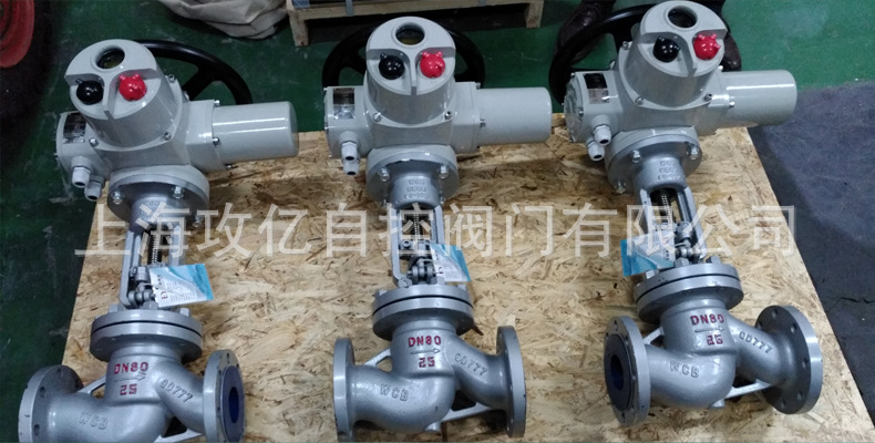 DZW电动阀门36.JPG