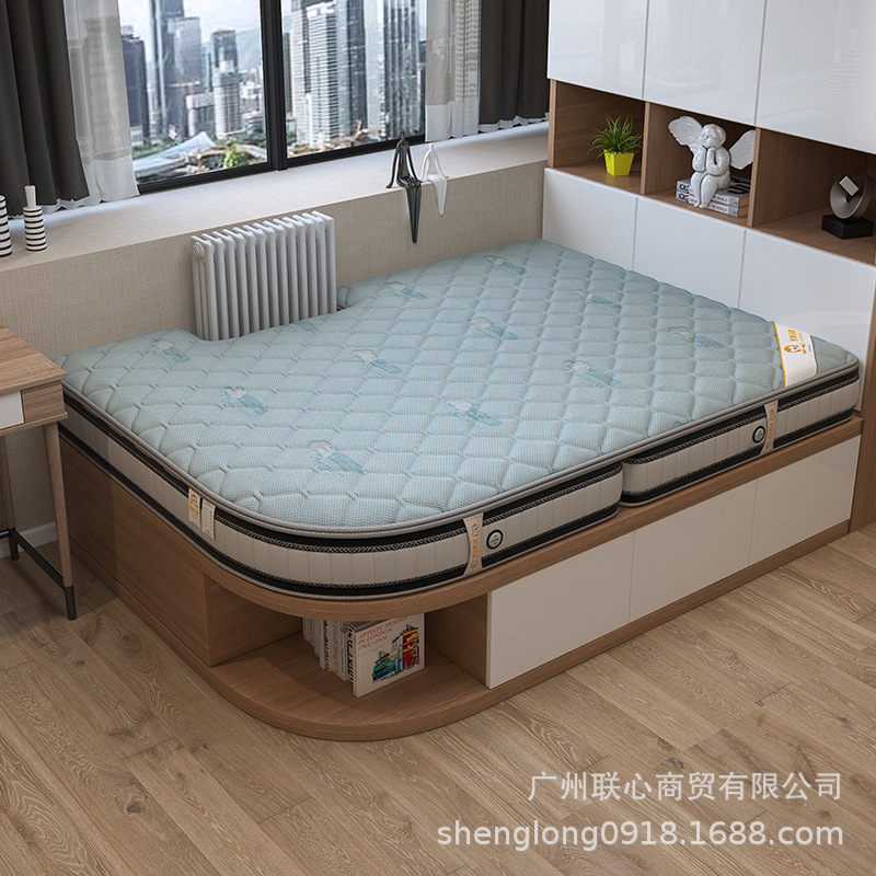 Manufactor Direct selling bedroom Tatami Coconut mat Foldable Special-shaped customized Tatami mattress On behalf of