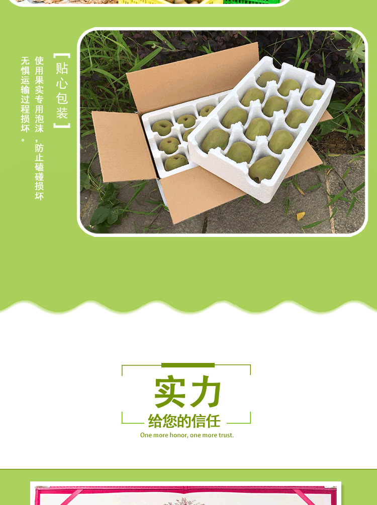 红心猕猴桃详情页2组_08