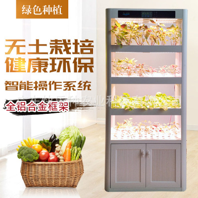 智能種菜機無土栽培水培蔬菜LED植物補光燈綠色健康蔬菜家庭室內