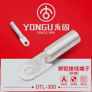 �~�X����DTL-16-35-70-95-240-500ƽ���T�����̽�߾����Ӿ�����