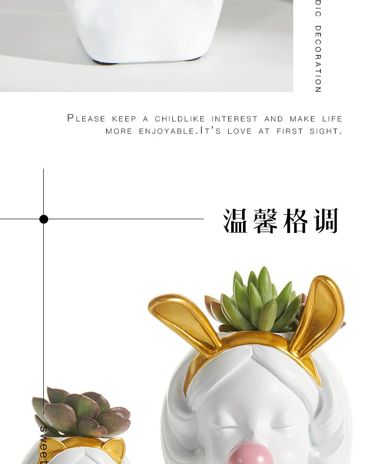 多肉吹泡泡齐全_05