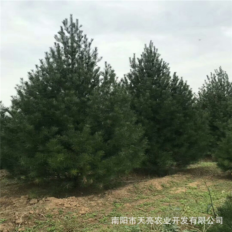 微信图片_2019081413580425.jpg