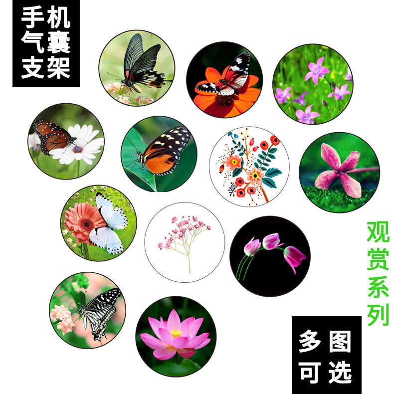 Internet Celebrity's Same Style Painted Series Airbag Holder, the Same Style as the Same Style, Anti-fall, Trendy Brand Foldableing Telescopic Bracket, Factory Direct Supply