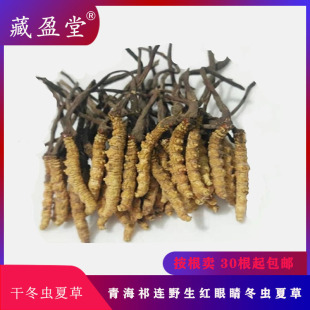 ��ӯ���ຣ���x�Ĳ�5��/��-9��/�˶��x�Ĳ�