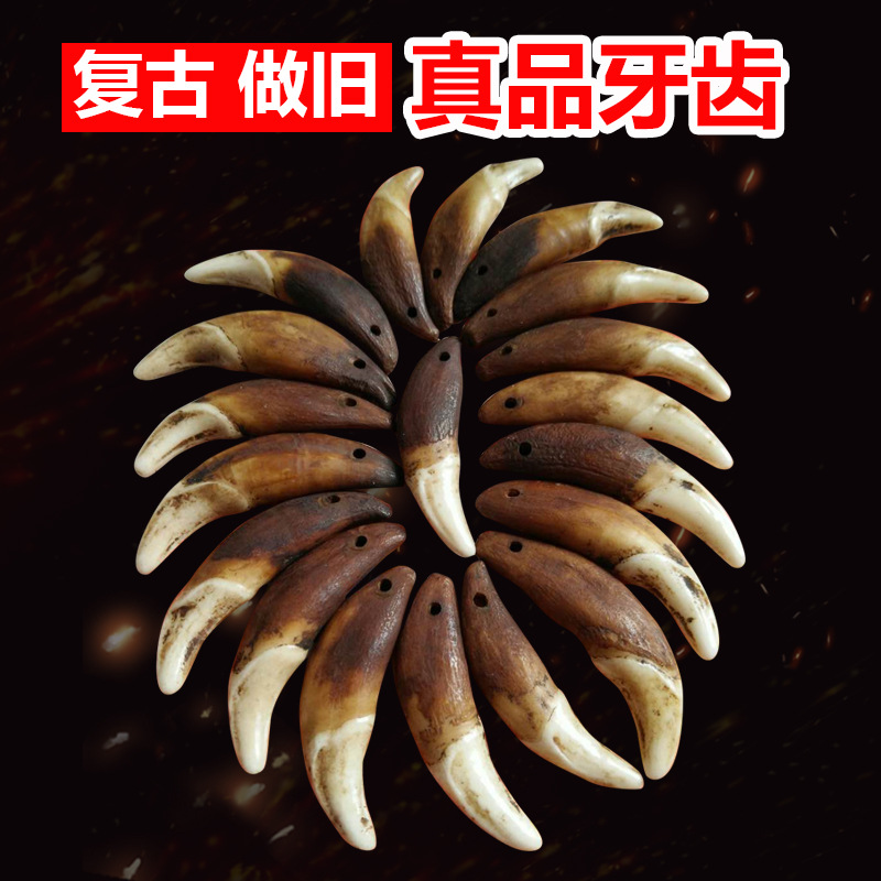 真狗牙饰品狼牙吊坠复古黑狗牙漂白藏獒牙批发项链手链地摊货源齿