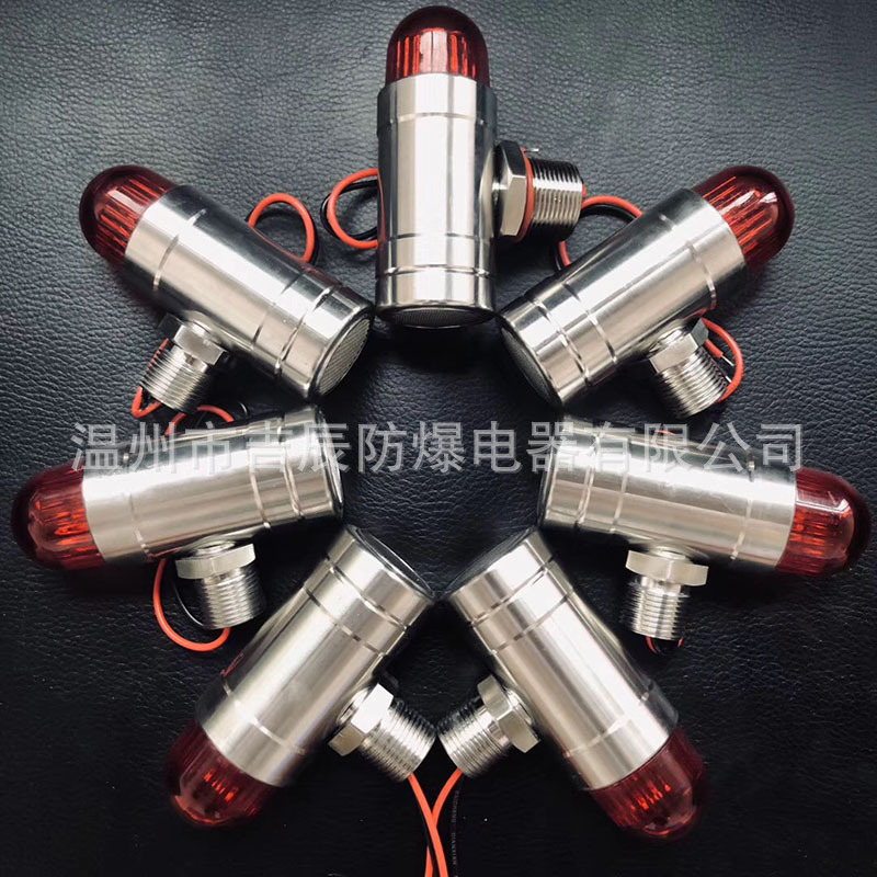 防爆不锈钢声光报警器DX-200气体探测器警示灯BXG-24V气体喇叭