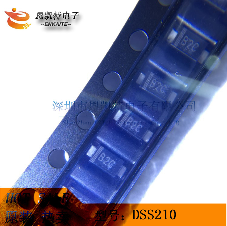 DSS210 SOD123FL 丝印 B2C 3K/盘 现货
