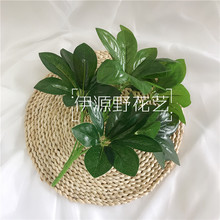 �ٻ��Gֲ�����b���ֲ�����_ľ����ľֲ�����~�������~