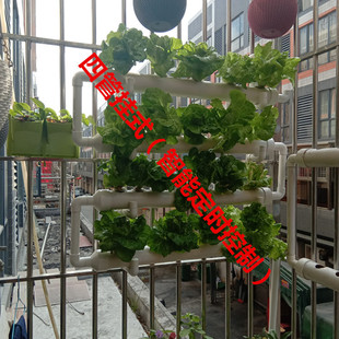�ڒ�ʽ�����̨�o������N���O���Ԅ�ˮ��Nֲ�������w�ˈ@���]