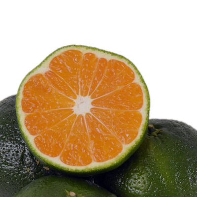 云南新鲜水果青皮蜜橘 酸甜适中 一件代发|ru