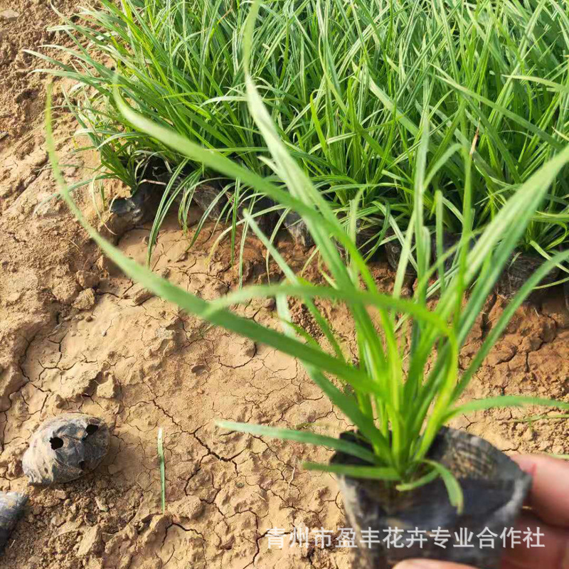 微信图片_201907260930472