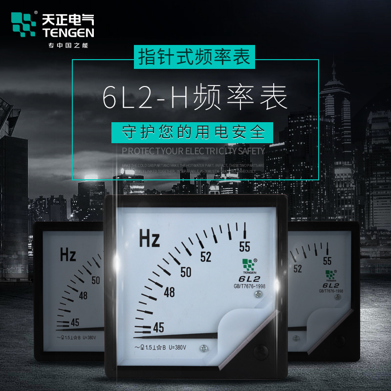 TENGEN天正电气6L2-H频率表赫兹表45-55HZ仪表板表380V 50HZ 20MA