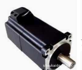 SYNTRON交流伺服电机60CB020C-010000  3000RPM