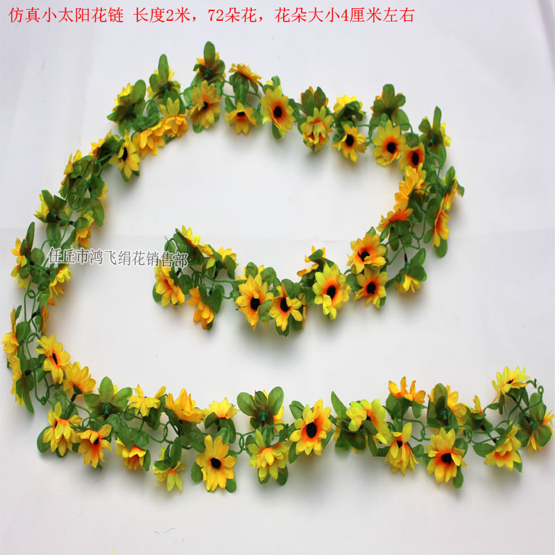 xiaotaiyanghualian15