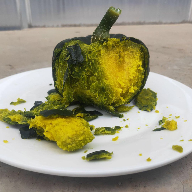 山东贝贝南瓜板栗味小南瓜新鲜南瓜宝宝辅食5斤5到8个左右1件代发