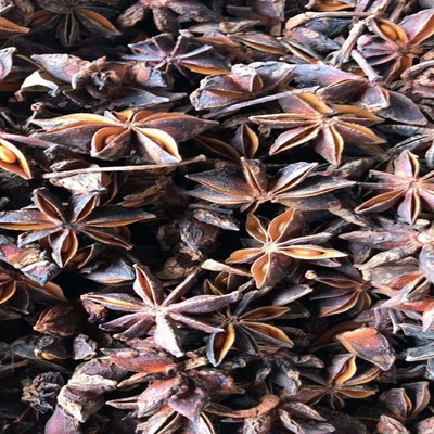 廣西八角大料批發 2019年秋季水燙果 肉桂皮鹵料調料 大茴香包郵