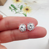 Shiny zirconium solar-powered, earrings, crystal, fashionable accessory, Korean style