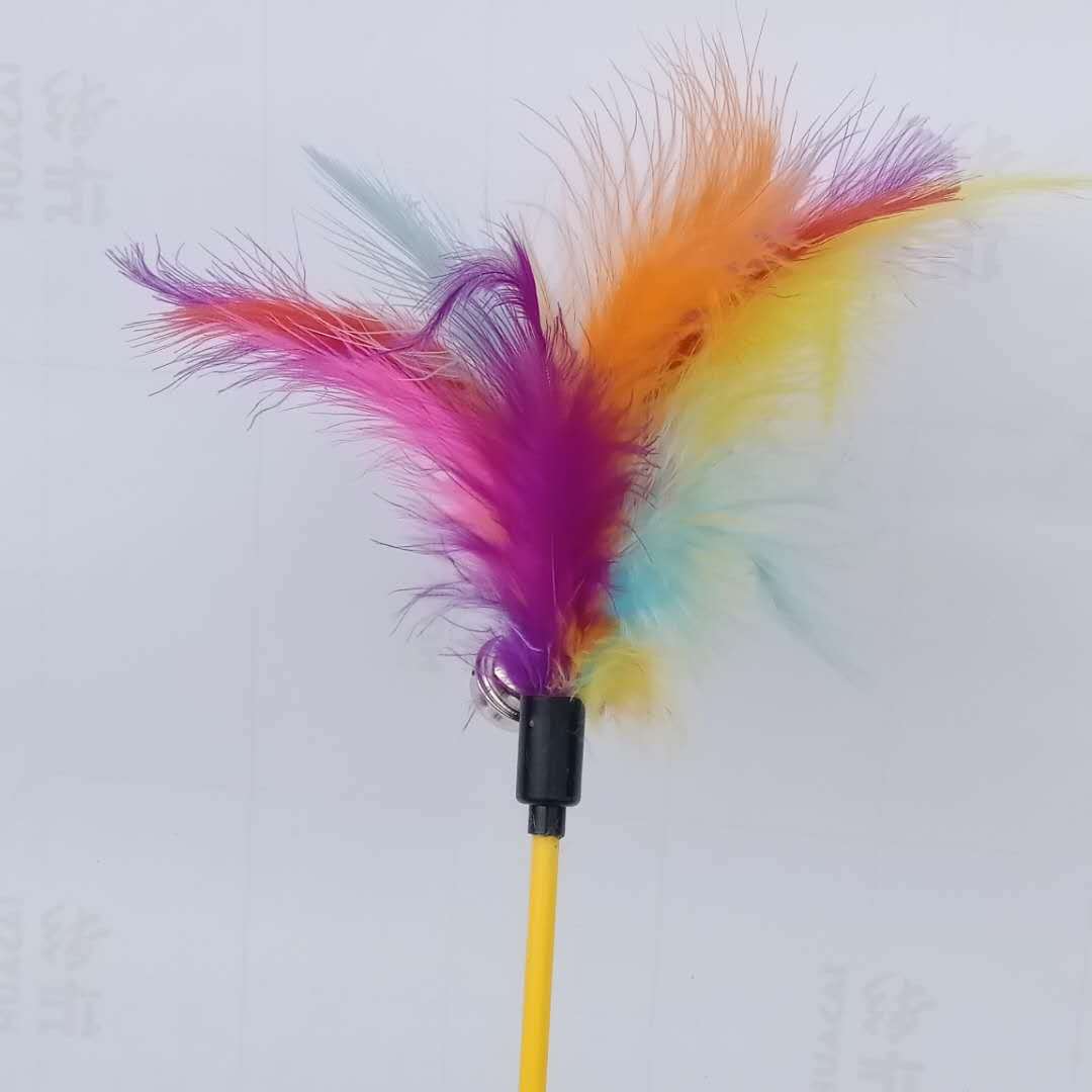 微信图片_20190411202221