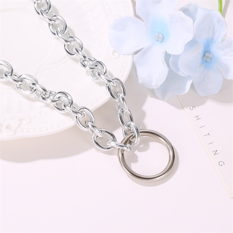 Creative Minimalist Circle Neck Choker Personality Exaggerated Punk Metal Necklace Wholesales Fashion display picture 5